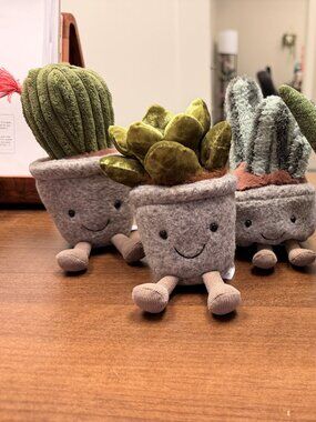 Jellycat LOT of RETIRED Succulent Plush Collection